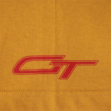Tシャツ GT