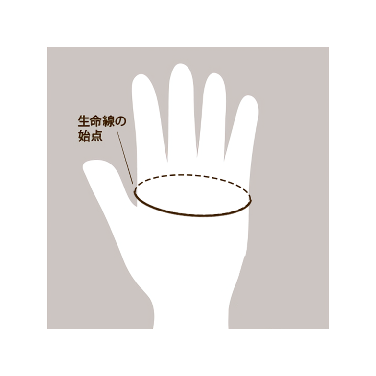 Half Driving Gloves - Brownイメージ2