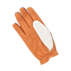Driving Gloves / DDR-091 Ivory/Caramelサムネイル2