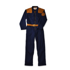 1950 Overall - Denim canvasサムネイル0