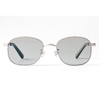 Driving Sunglasses / SILVERSTONE - Matte Silverサムネイル2