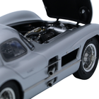 1/18 Mercedes-Benz 300 SLR Coupe,Tourist Trophy 1955サムネイル5