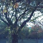 フィルム型デジタルカメラ White×Orangeサムネイル7